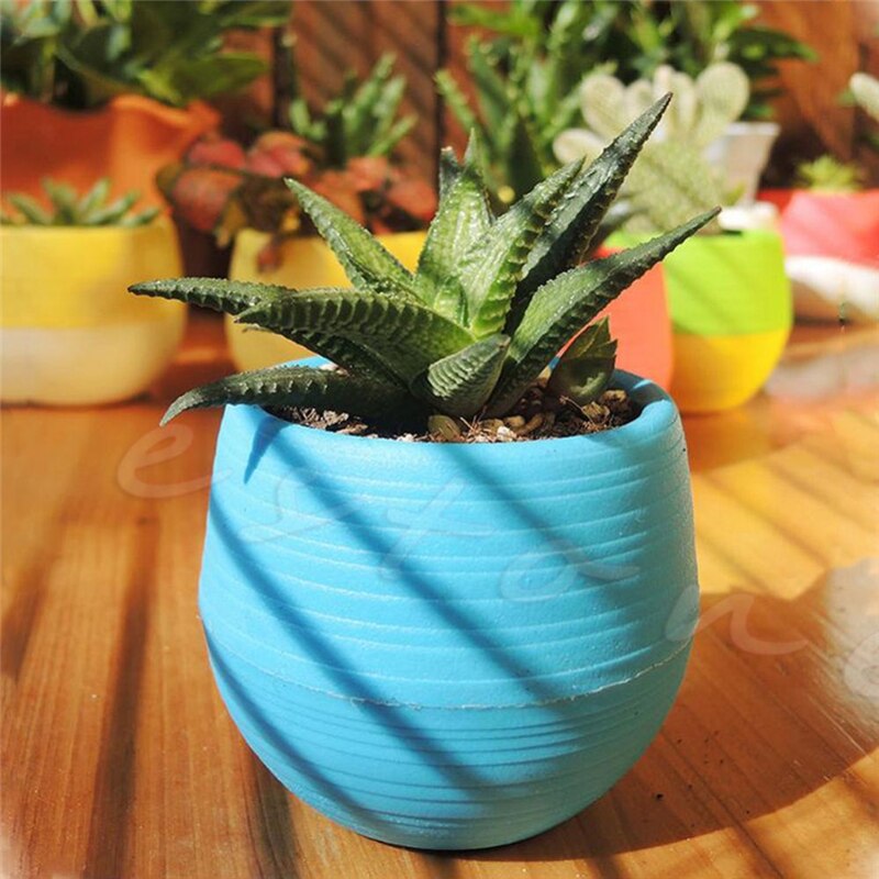 New Mini Colourful Cute Round Planter Plastic Plant Flower Pots Garden Supplies Nursery Pots For Home Garden Office Decor